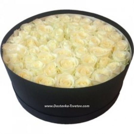 hatbox with 51 white roses "Mercedes"